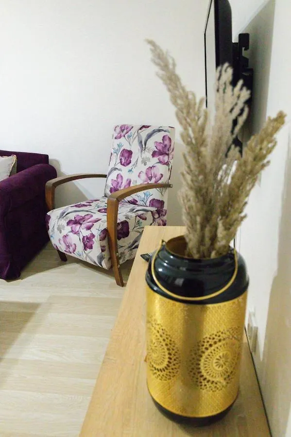 Luxury Istanbul Apart Apartment